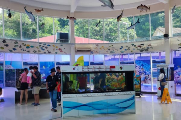 Port Dickson Ornamental Fish Centre